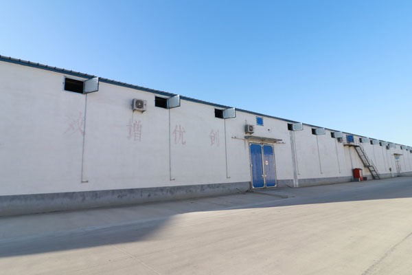 厂区环境