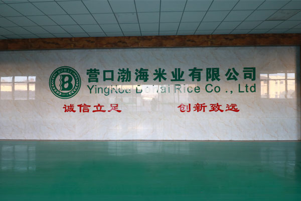 厂区环境